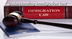 Understanding Immigration Law in 2023